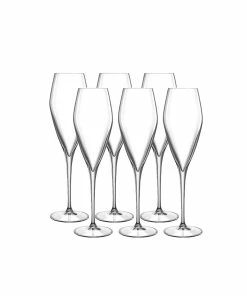 Luigi Bormioli Atelier 9.25 Oz Champagne Glass | Set Of 6