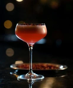 Bormioli Rocco 8.5oz Novecento Cocktail Coupe Glass | Set Of 4 -Cheap Dinnerware Store 122111grs021990 1