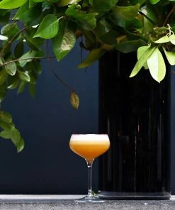 Bormioli Rocco 8.5oz Novecento Cocktail Coupe Glass | Set Of 4 -Cheap Dinnerware Store 122111grs021990 3