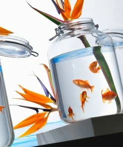 Bormioli Rocco 4.67L Swing Top Fido Glass Jar -Cheap Dinnerware Store 149270mrf121990 3