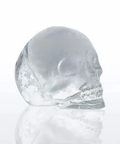 Frieling Cranio Silicone Ice Cube Tray -Cheap Dinnerware Store 71o cbvn2ql. ac sl1500