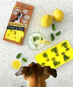 Talisman Designs Ice Tray/Chocolate Mold | Dog -Cheap Dinnerware Store 81sywyglwas. ac sl1196