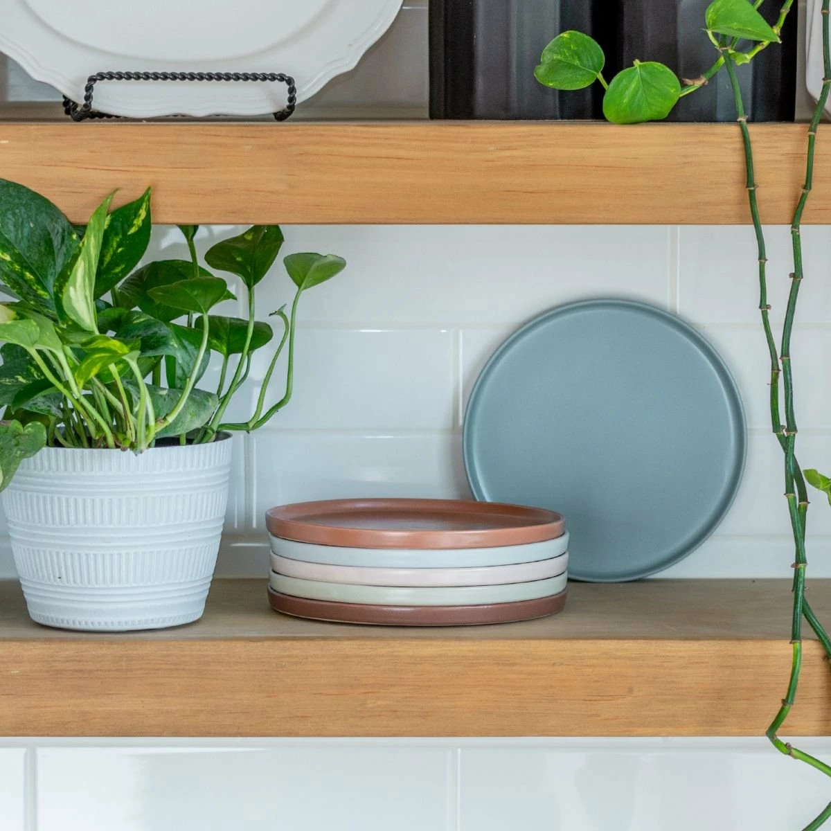 Everything Kitchens Modern Flat 8-Piece Lunch Plate Set | Dusty Blue & Terracotta 6 Everything Kitchens Modern Flat 8-Piece Lunch Plate Set | Dusty Blue & Terracotta - Image 6