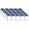 Bormioli Rocco 1L Swing Top Fido Glass Jars - Blue Lid | 30-pack