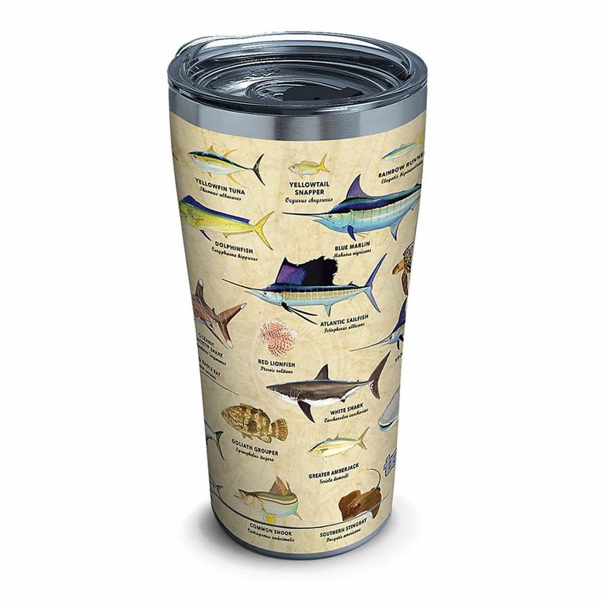 Tervis® 20oz Triple-Walled Insulated Stainless Steel Tumbler With Lid | Guy Harvey® Charts 1 Tervis® 20oz Triple-Walled Insulated Stainless Steel Tumbler With Lid | Guy Harvey® Charts