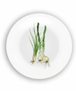 Bamboo Table 4-Piece Plate Gift Set | Veggies 11 Bamboo Table 4-Piece Plate Gift Set | Veggies -Cheap Dinnerware Store uv7g687f 4